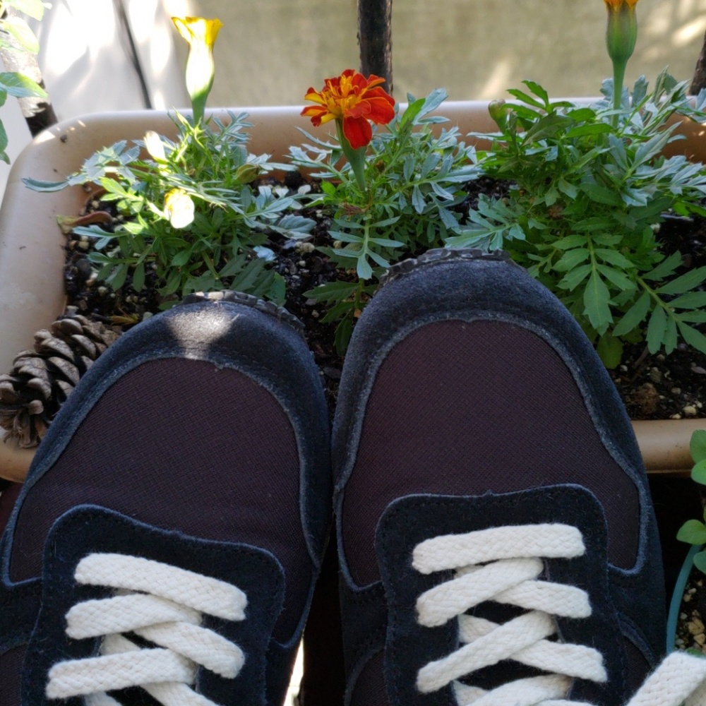 New Inkkas Jogger Tennis Shoe Sports Shoe sz 7